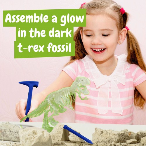 Fossil Excavation Kit I. Gra edukacyjna dla dzieci