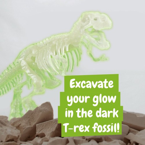 Fossil Excavation Kit I. Gra edukacyjna dla dzieci