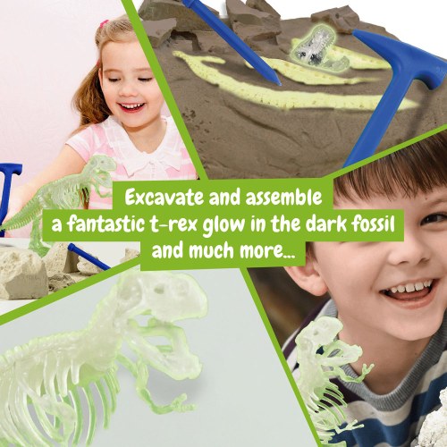 Fossil Excavation Kit I. Gra edukacyjna dla dzieci