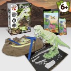 Fossil Excavation Kit I. Gra edukacyjna dla dzieci