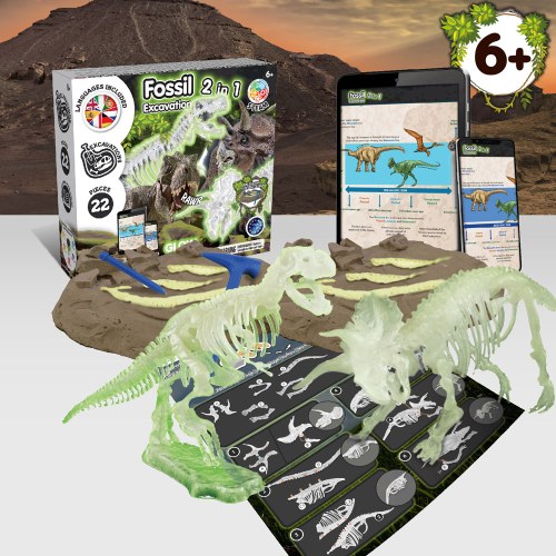 2 in 1 Fossil Excavation Kit I. Gra edukacyjna dla dzieci