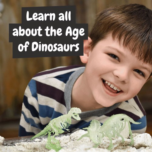 2 in 1 Fossil Excavation Kit I. Gra edukacyjna dla dzieci