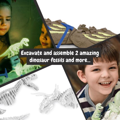 2 in 1 Fossil Excavation Kit I. Gra edukacyjna dla dzieci