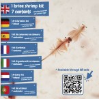 Jurassic Pets Kit I. Gra edukacyjna dla dzieci