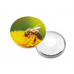 Button III. Pin